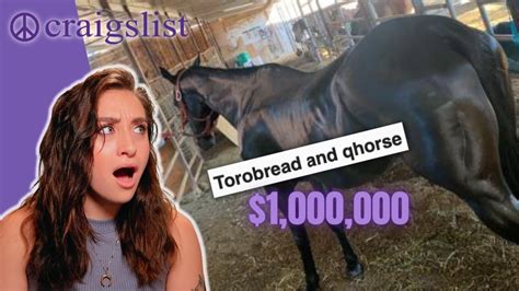 MSRP: $9,900. . Craigslist livestock